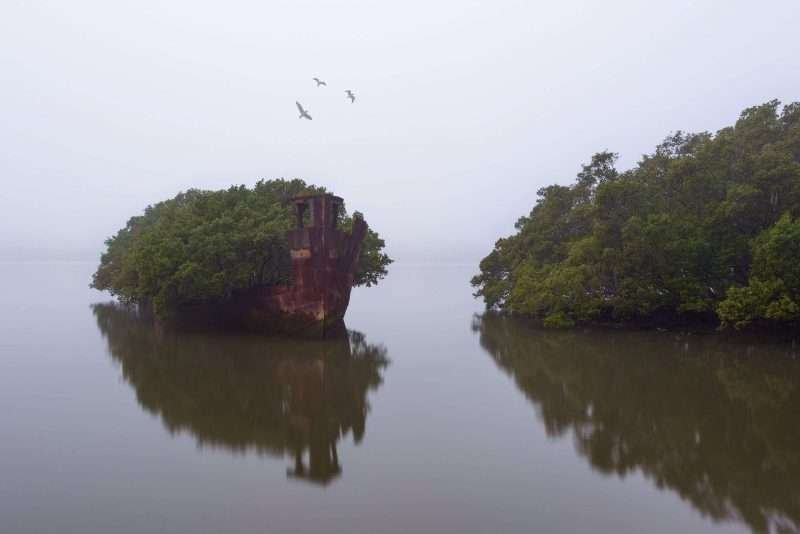 SS Ayrfield
