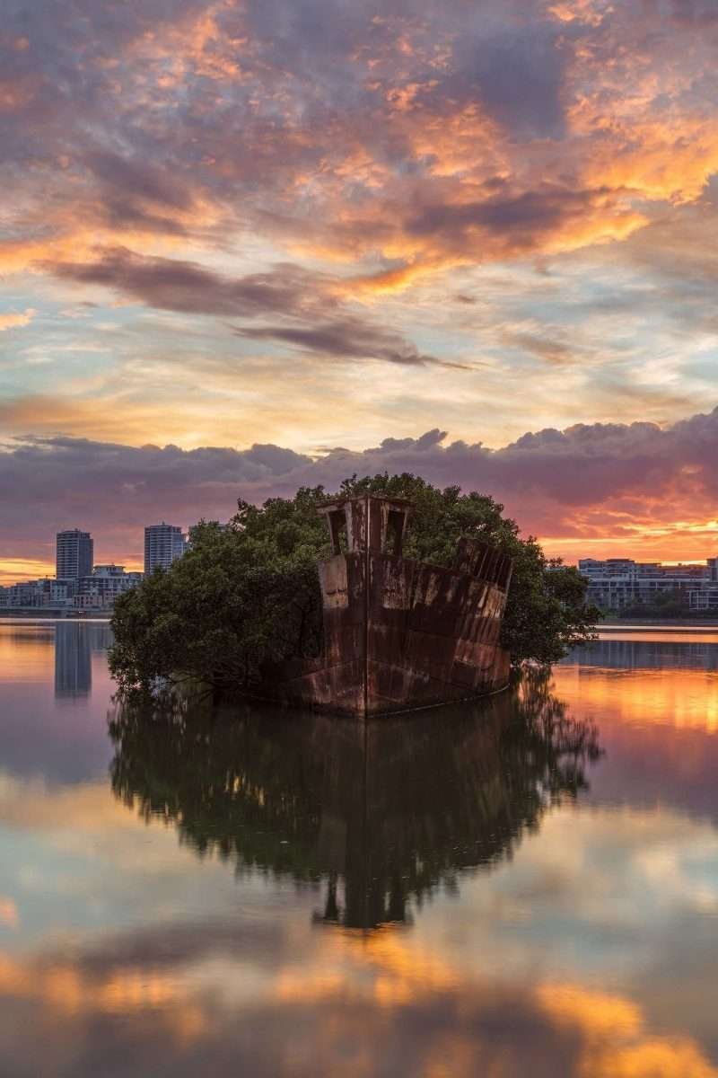 SS Ayrfield Homebush