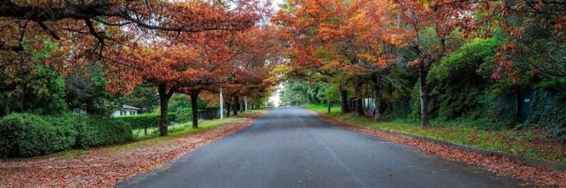 Blackheath