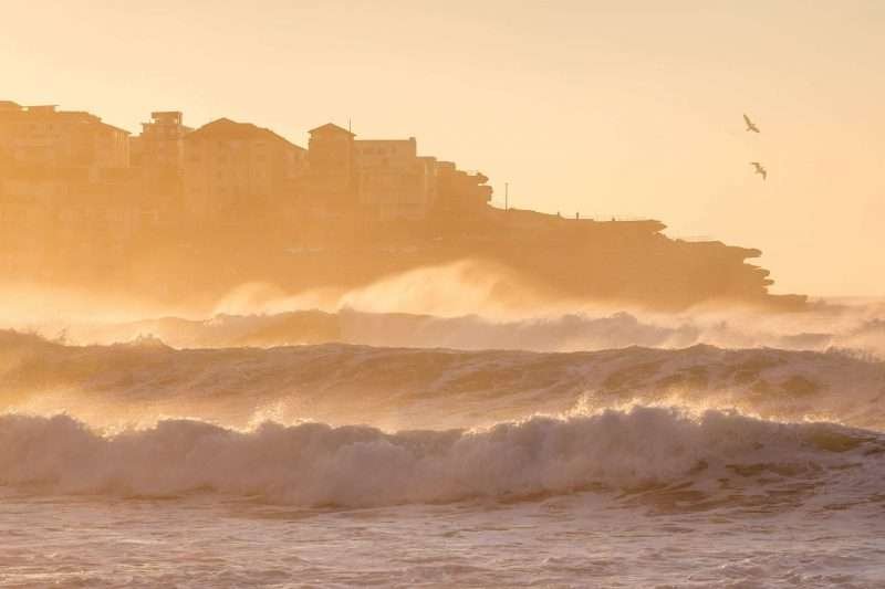 Bondi Beach