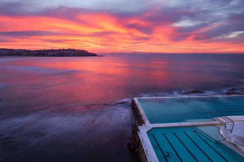 Bondi Icebergs
