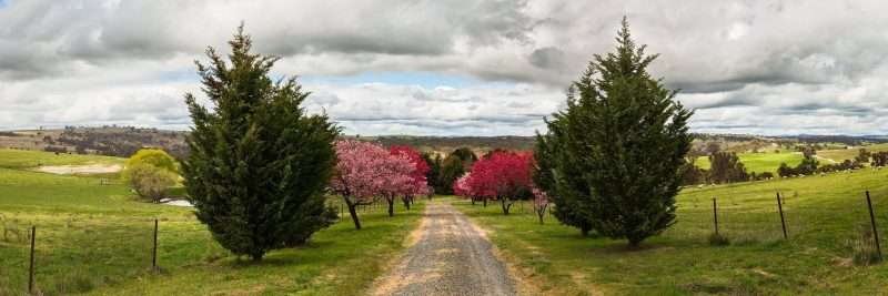 Cowra