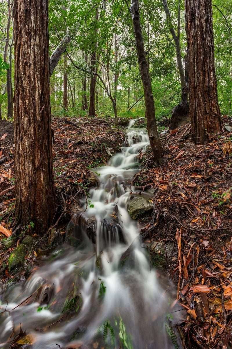 Hunts Creek Waterfall