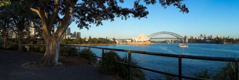 Lady Macquarie's Chair