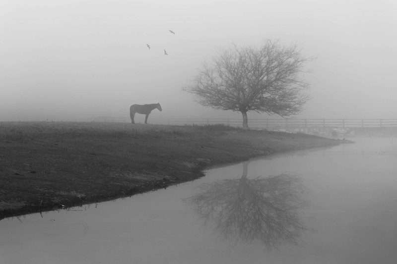 Richmond