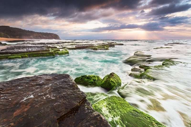 Turimetta