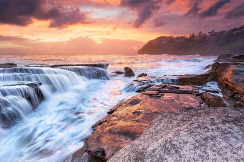 Whale Beach