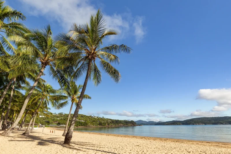 Hamilton Island Catseye Beach